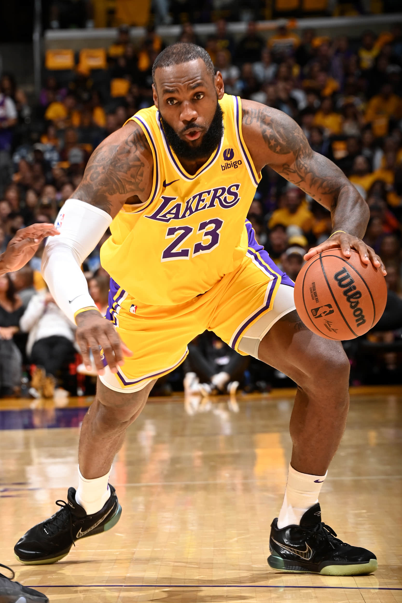 詹姆斯新星势不可挡表现惊艳，RNG未来可期！的简单介绍